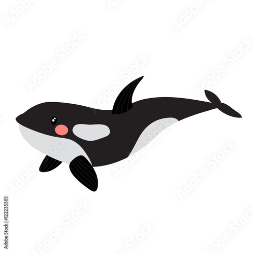 Killer whale orca animal cartoon character. Isolated on white background. Vector illustration.