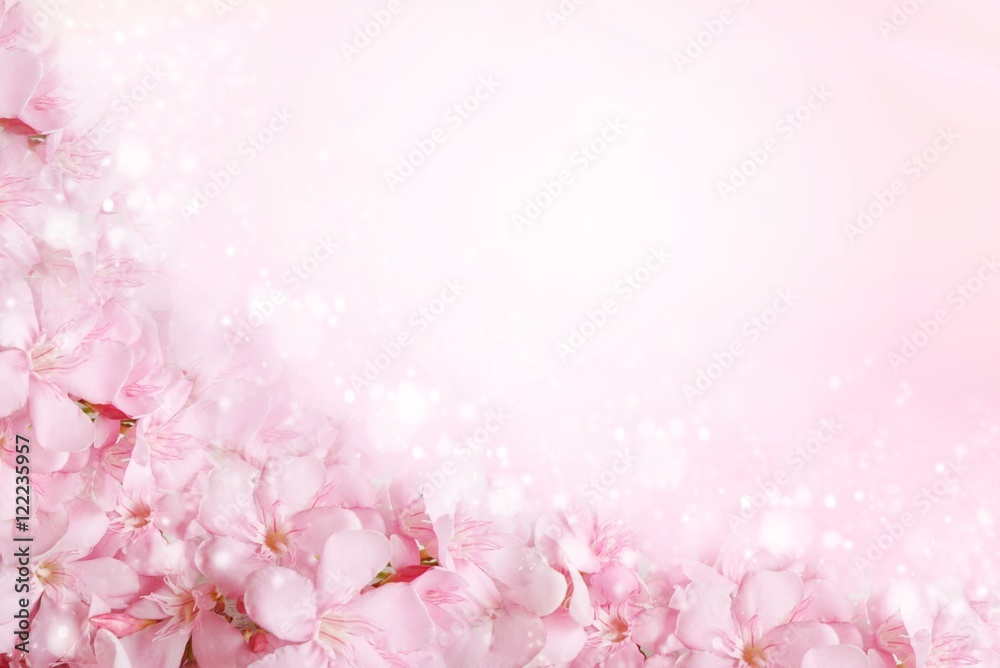 pink flower frame in soft vintage tone for wedding or valentine card 