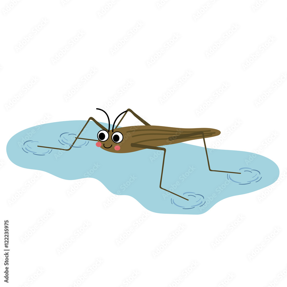 Pond Skater walking on water animal cartoon character. Isolated on ...