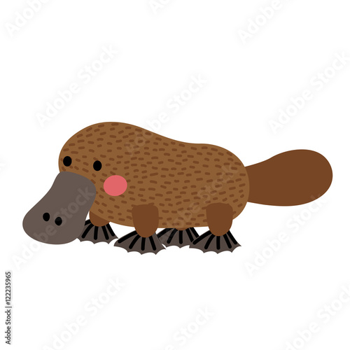 Platypus animal cartoon character. Isolated on white background. Vector illustration.