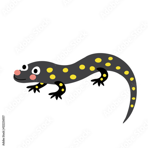 Salamander animal cartoon character. Isolated on white background. Vector illustration. photo