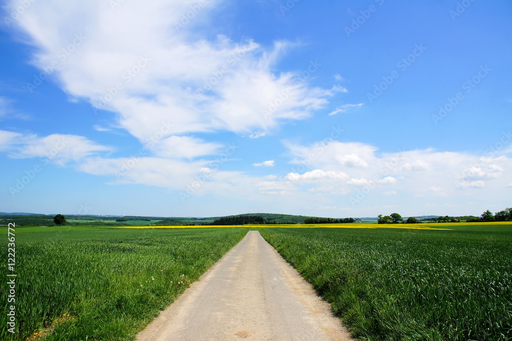 blauer Wolkenhimmel im Frühling über grüner Landschaft mit Weg
blauer Wolkenhimmel im Frühling über grüner Landschaft mit Weg