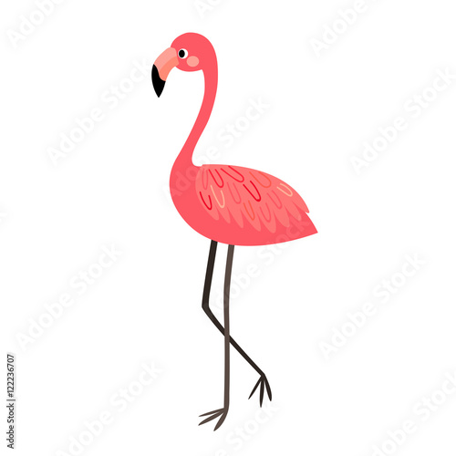 Standing Flamingo animal cartoon character. Isolated on white background. Vector illustration.