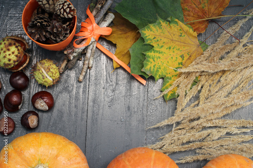 Halloween: тыква, каштаны, трава, листья и шишки