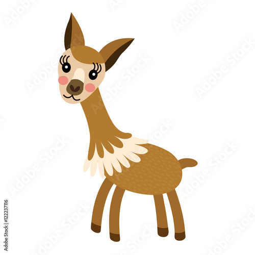 Vicuna animal cartoon character. Isolated on white background. Vector illustration.