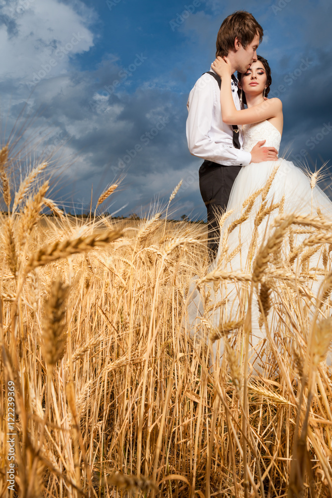 Bride and groom in tender hugs in wheat field with dramatic sky Bride and groom in tender hugs in wheat field with dramatic sky