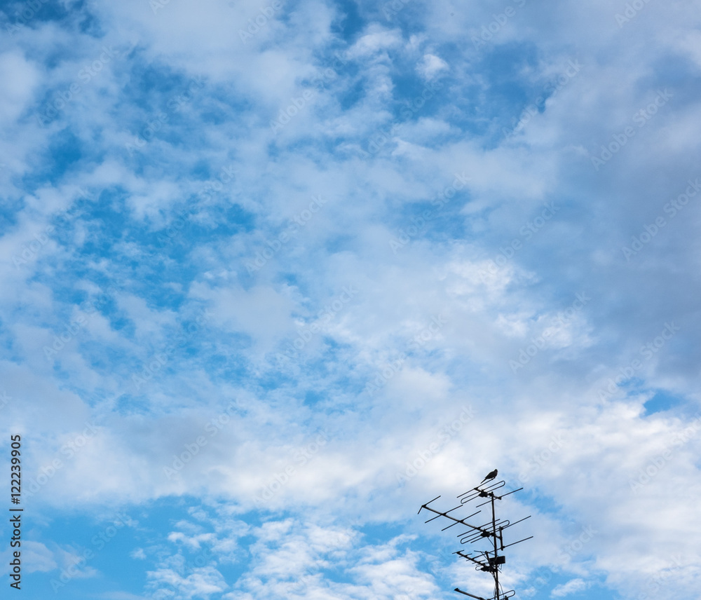 antenna in blue sky with bird antenna in blue sky with bird