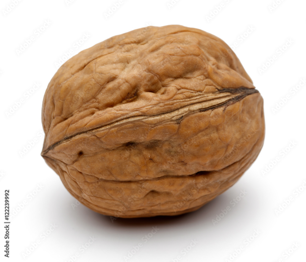 Walnut Walnut