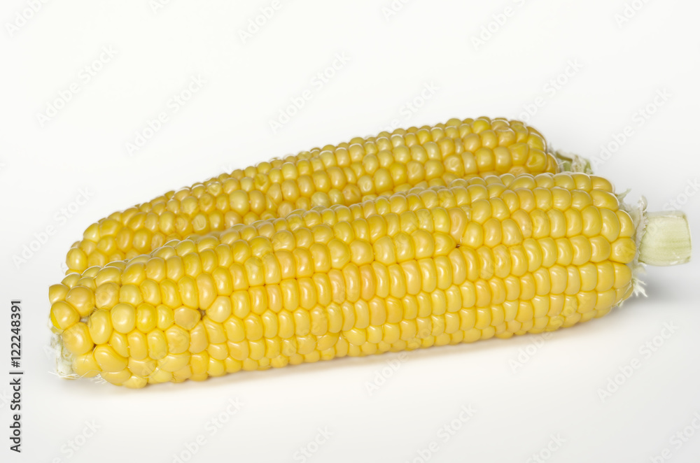 Two fresh raw corn cob isolated on white background Two fresh raw corn cob isolated on white background