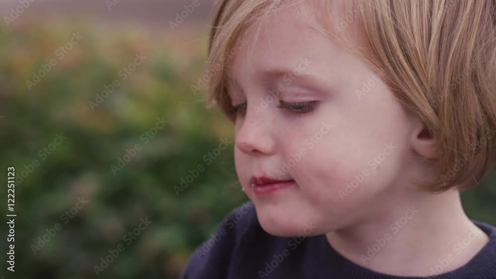 Little girl eating a cake pop outside, close up Little girl eating a cake pop outside, close up
