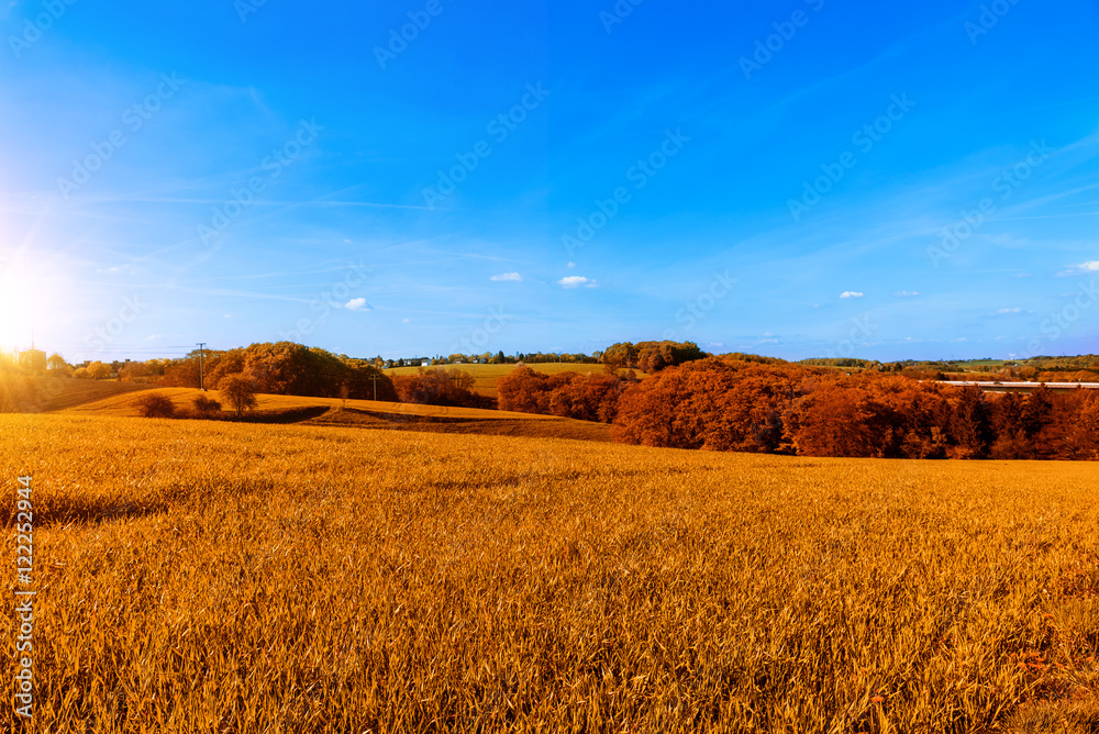 Landschaft im Herbst mit blauem Himmel