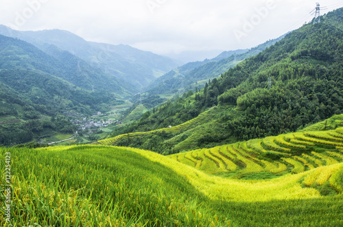 The terraced fields scenery in autumn
