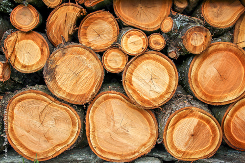 Illustration of firewood stock for winter.