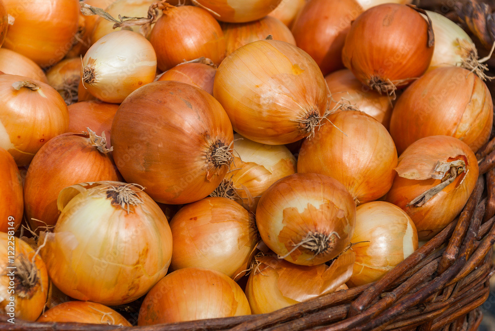 Onion Background