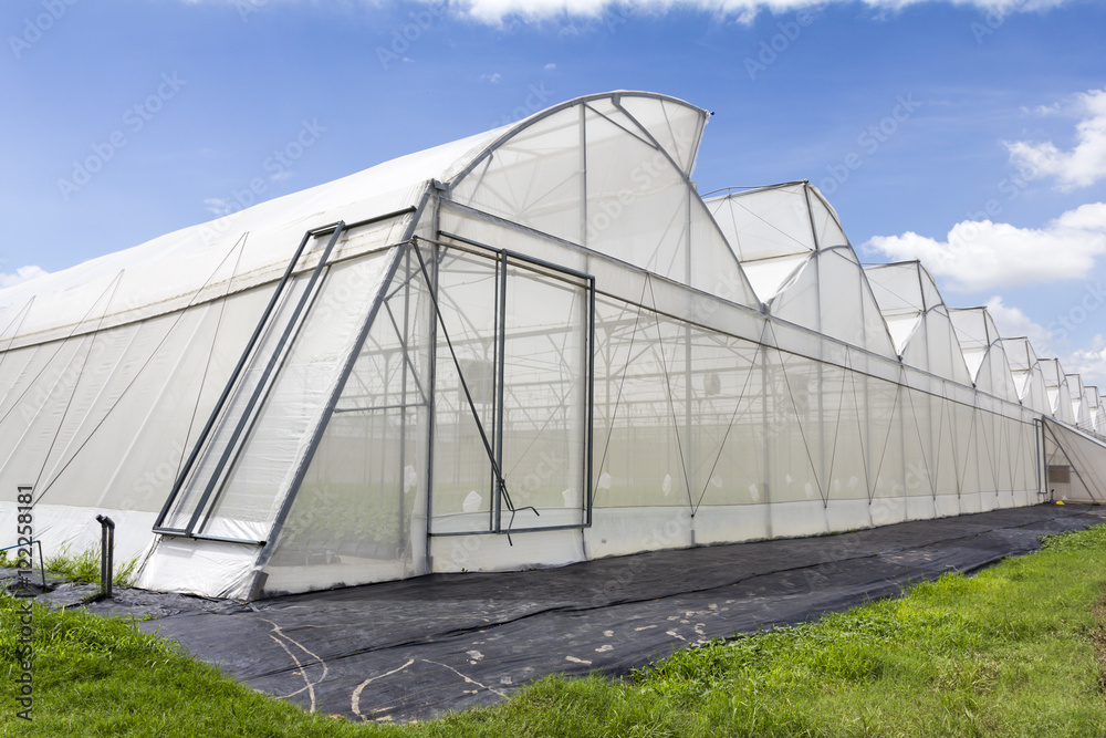 Greenhouse of Melon Farm on blue sky background Greenhouse of Melon Farm on blue sky background