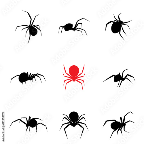 Black widow spider in silhouette style
