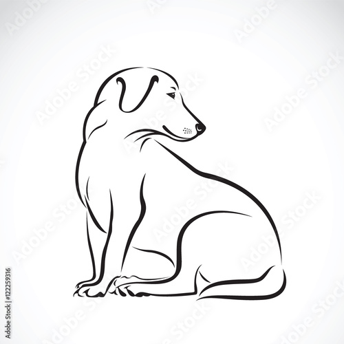 Vector of a dog labrador on white background