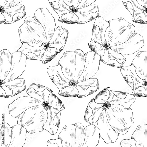 Wallpaper Mural Seamless sketch briar template background. Vector illustration for your design Torontodigital.ca