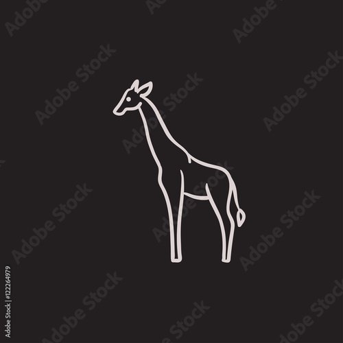 Giraffe sketch icon.