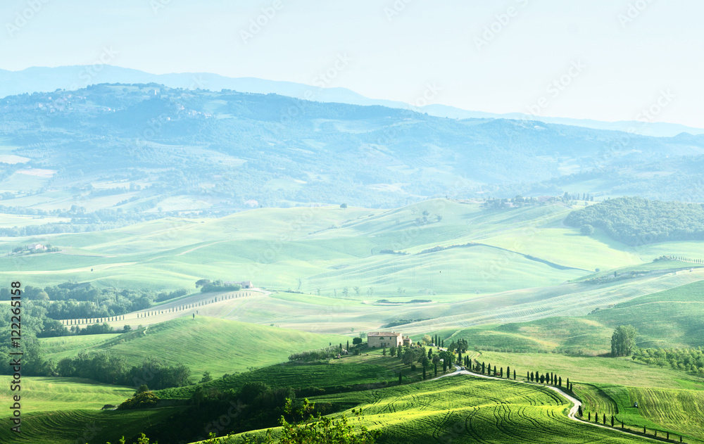 tuscany sprig landscape,  Italy