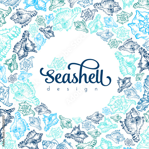 Sketch seashell card template background. Vector illustration for your design