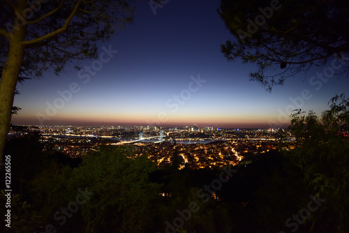 Istanbul bosphorus on sunset with city lights