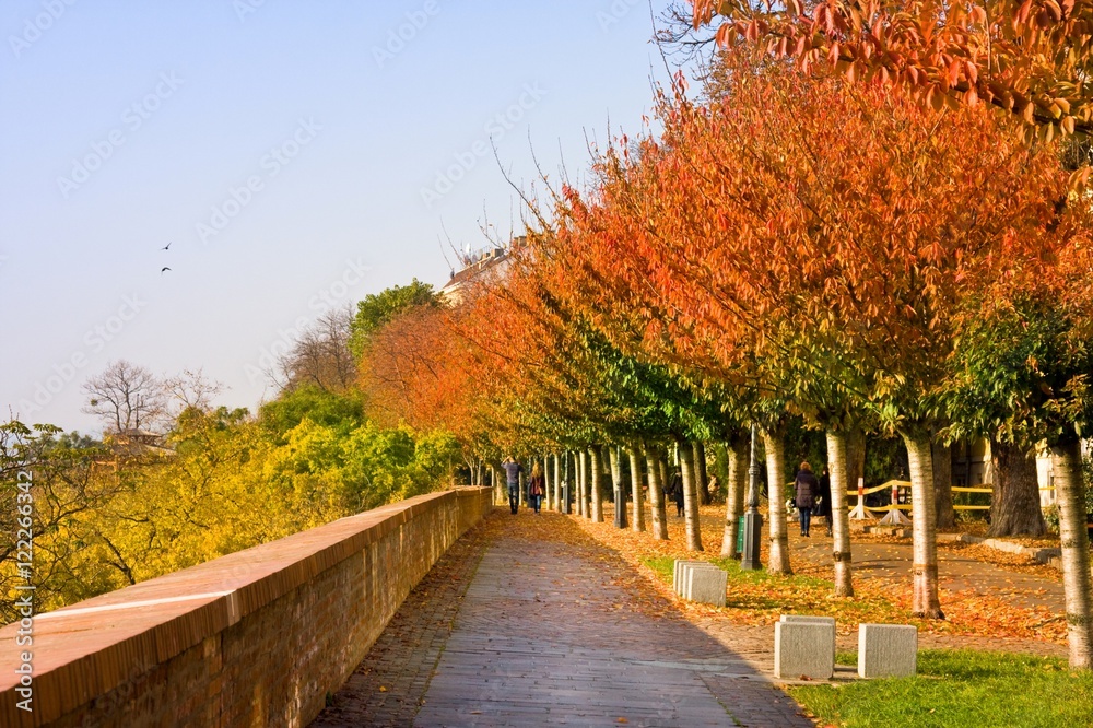Naklejka premium autumnal walkway with chestnut trees at Castle of Budapest