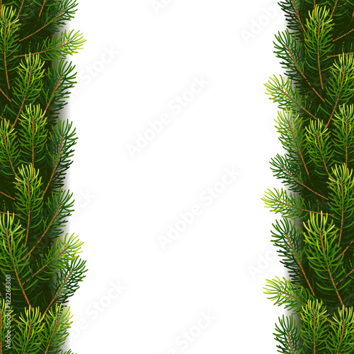 Christmas borders from fir branches