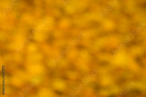 Abstract defocused yellow golden colored leaves background. Autumn season. 