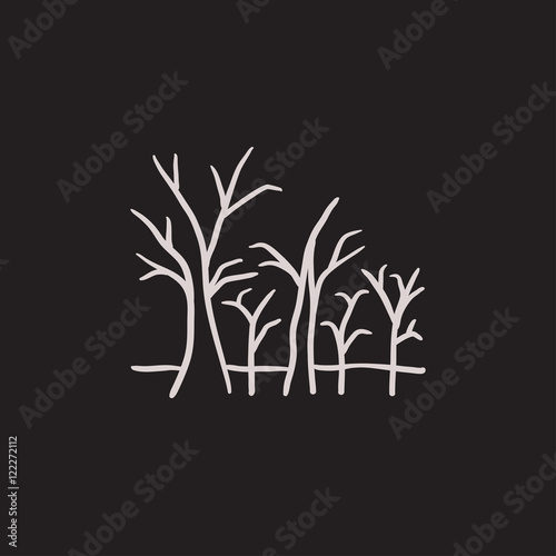 Tree with bare branches sketch icon.