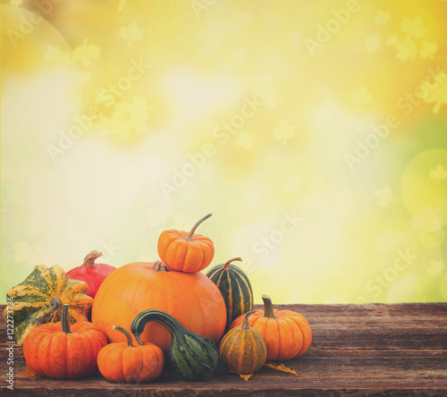 orange raw pumpkins with fall leaves on wooden table with autumn garden background, retro toned