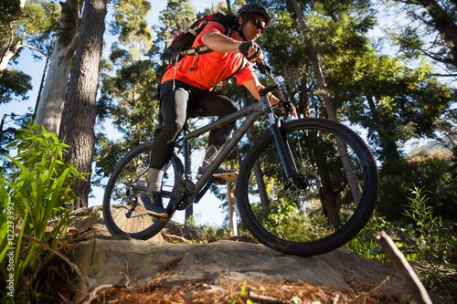Male mountain biker riding bicycle in the forest © WavebreakmediaMicro