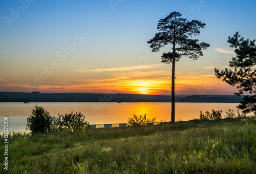 Beautiful sunset and lonely pine on the lake