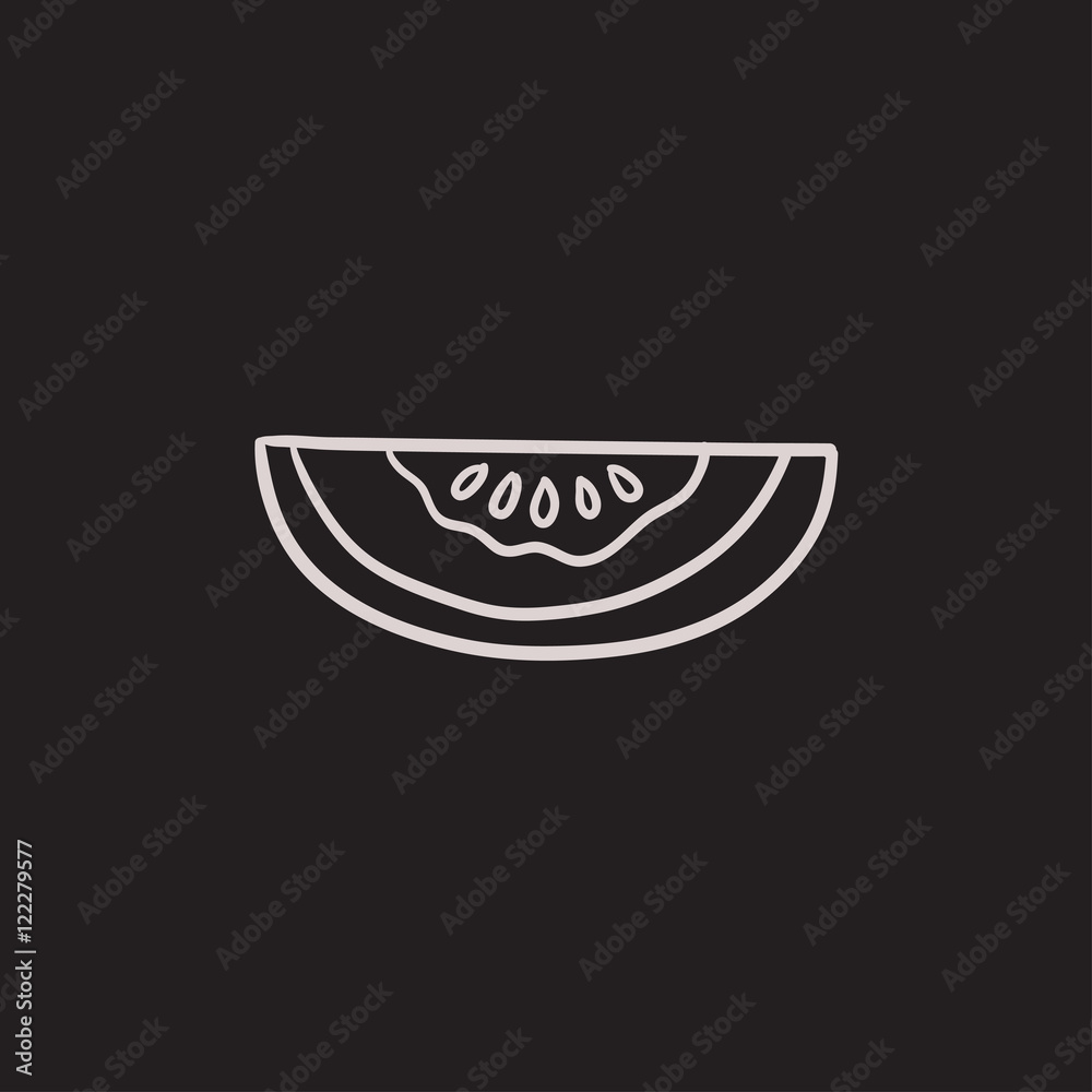 Fototapeta premium Melon sketch icon.