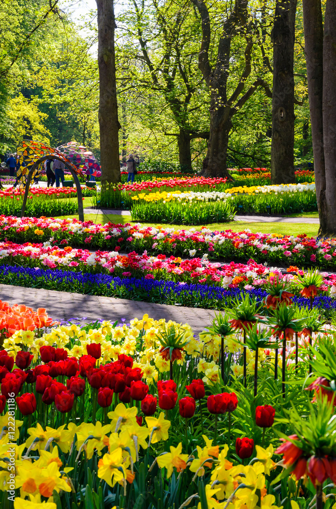 Blooming flowers in Keukenhof park in Netherlands, Europe. Blooming flowers in Keukenhof park in Netherlands, Europe.