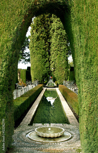 Archway in a hedge at the Alhambra Palace gardens, Granada, Spain. photo