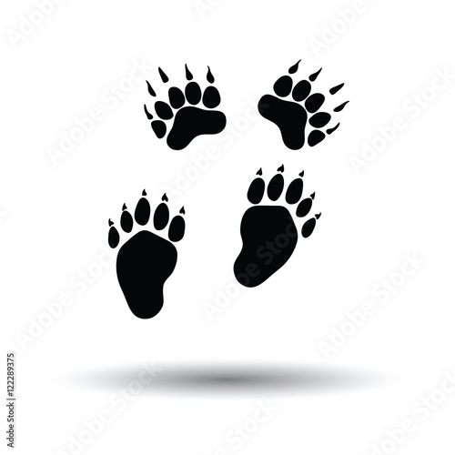 Bear trails  icon