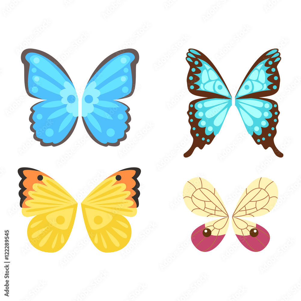 Butterfly wings isolated vector illustration Butterfly wings isolated vector illustration