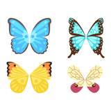 Butterfly wings isolated vector illustration