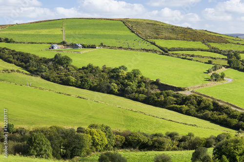 Lush green hilly pastures with trees separating fields and blue sky and clouds photo