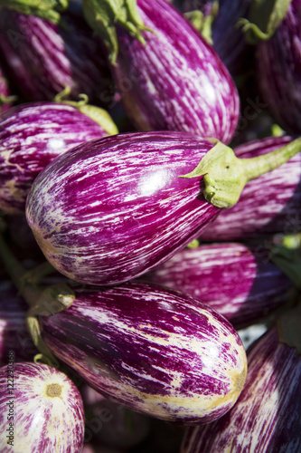 Wallpaper Mural Detail of eggplants (Solanum melongena), Maryland, United States of America Torontodigital.ca