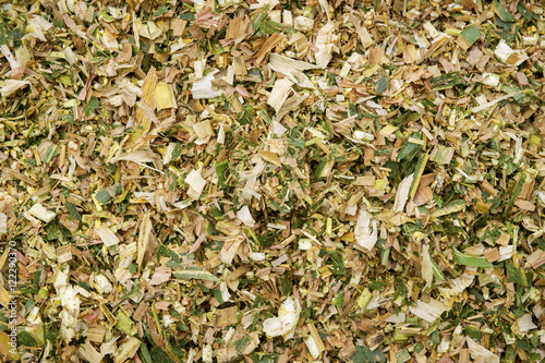 Close up of silage, Ridgley, Maryland, United States of America