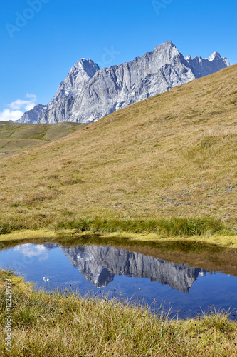Mont Dolent with Reflection in Pond