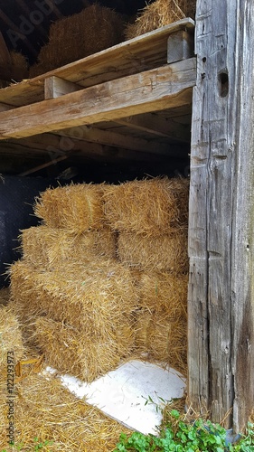 hay bales in old barn with hayloft