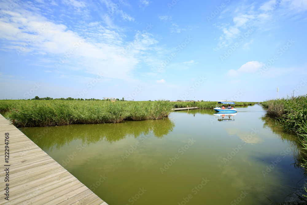 Obraz premium Wetland landscape