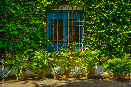 Típico patio cordobés, Córdoba, Andalucía, España © luisfpizarro