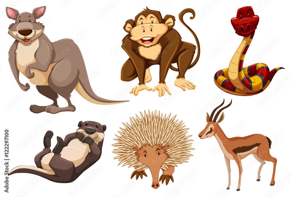 Fototapeta premium Set of wild animals
