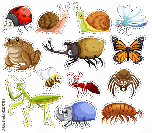 Sticker set of many insects