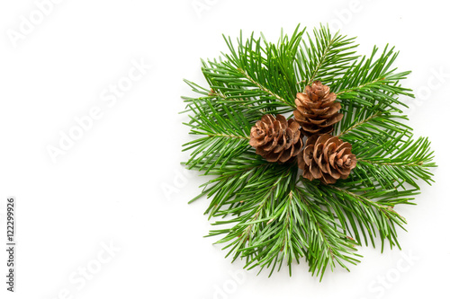 Isolated fir branch and cones wreath. Christmas and New Year symbol on white background.