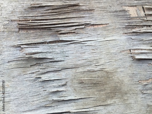 Old Cracked Plywood texture